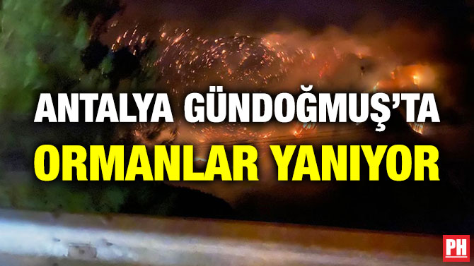 Antalya Gündoğmuş’ta Ormanlar Yanıyor
