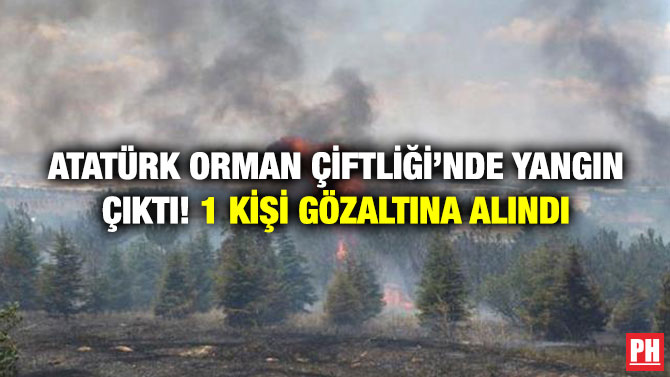 Atatürk Orman Çiftliği’nde Yangın Çıktı! 1 Kişi Gözaltına Alındı