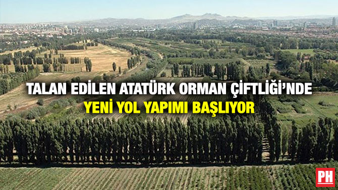 Talan Edilen Atatürk Orman Çiftliği’nde Yeni Yol Yapımı Başlıyor