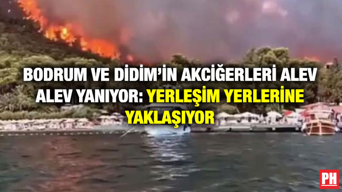 Bodrum ve Didim’in Akciğerleri Alev Alev Yanıyor: Alevler Yerleşim Yerlerine Yaklaşıyor
