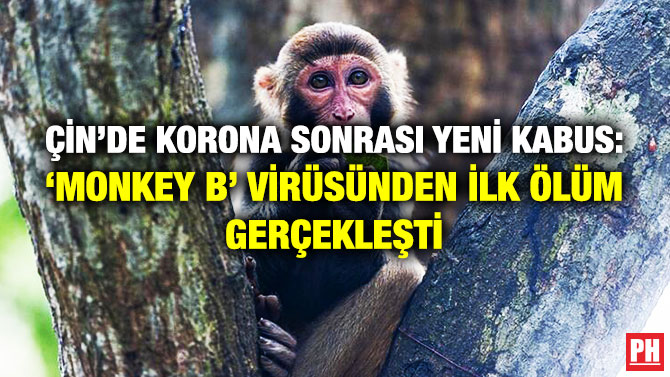 Çin’de Korona Sonrası Yeni Kabus: ‘Monkey B’ Virüsünden İlk Ölüm Gerçekleşti
