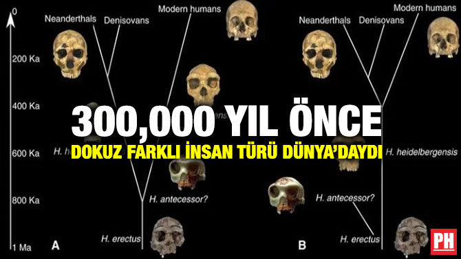 300,000 Yıl Önce Dokuz Farklı İnsan Türü Dünya’daydı