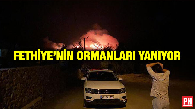Fethiye’nin Ormanları Yanıyor