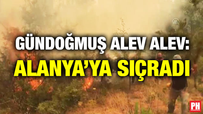 Gündoğmuş Alev Alev: Alanya’ya Sıçradı