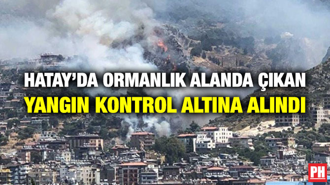 Hatay’da Ormanlık Alanda Çıkan Yangın Kontrol Altına Alındı