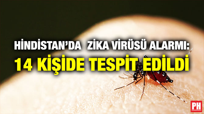 Hindistan’da  Zika Virüsü Alarmı: 14 Kişide Tespit Edildi