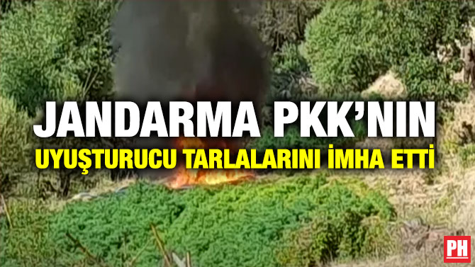Jandarma PKK’nın Uyuşturucu Tarlalarını İmha Etti