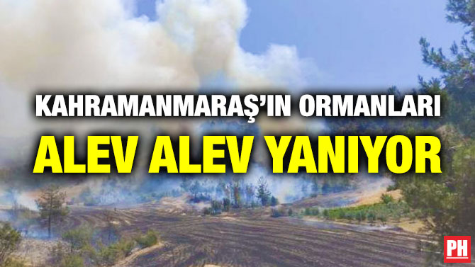 Kahramanmaraş’ın Ormanları Alev Alev Yanıyor