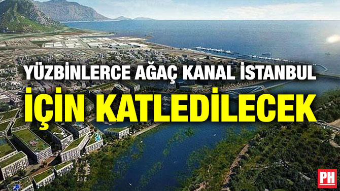 Yüzbinlerce Ağaç Kanal İstanbul için Katledilecek