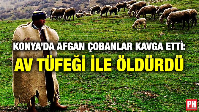 Konya’da Afgan Çobanlar Kavga Etti: Av Tüfeği ile Öldürdü