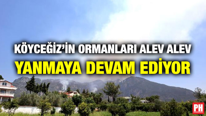 Köyceğiz’in Ormanları Alev Alev Yanmaya Devam Ediyor