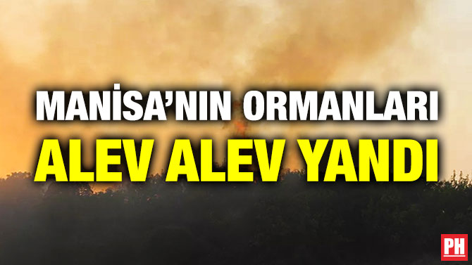 Manisa’nın Ormanları Alev Alev Yandı