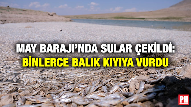 May Barajı’nda Sular Çekildi: Binlerce Balık Kıyıya Vurdu
