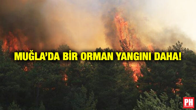 Muğla’da Bir Orman Yangını Daha!