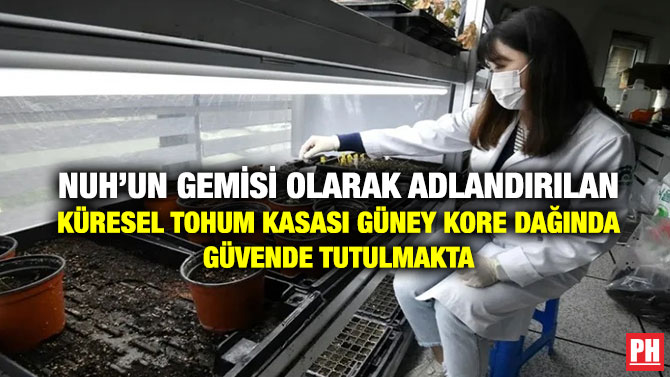 Nuh’un Gemisi Olarak Adlandırılan Küresel Tohum Kasası Güney Kore Dağında Güvende Tutulmakta