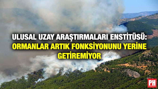 Ulusal Uzay Araştırmaları Enstitüsü: Ormanlar Artık Fonksiyonunu Yerine Getiremiyor