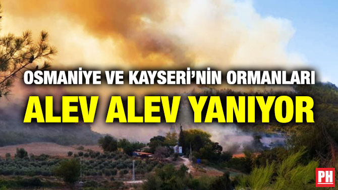 Osmaniye ve Kayseri’nin Ormanları Alev Alev Yanıyor