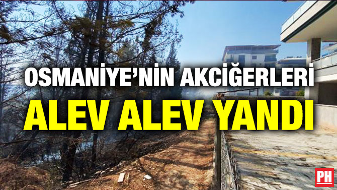 Osmaniye’nin Akciğerleri Alev Alev Yandı