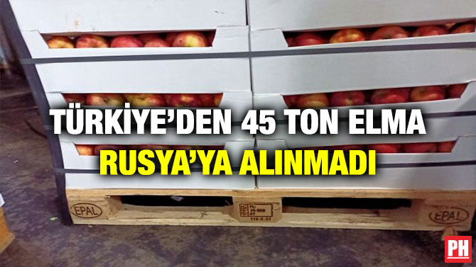 Türkiye’den 45 Ton Elma Rusya’ya Alınmadı