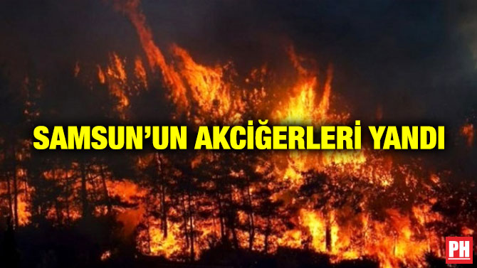 Samsun’un Akciğerleri Yandı