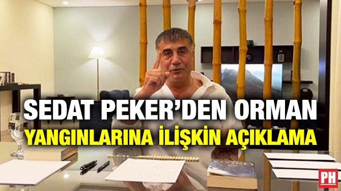Sedat Peker’den Orman Yangınlarına İlişkin Açıklama