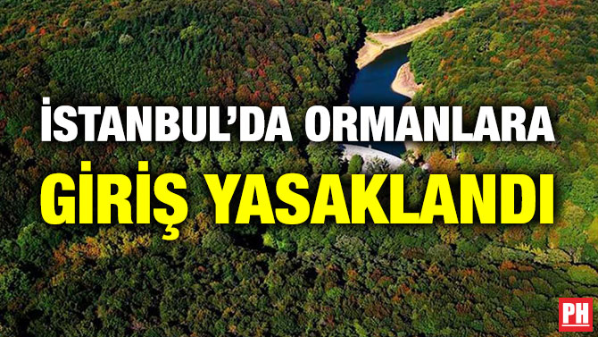 İstanbul’da Ormanlara Giriş Yasaklandı