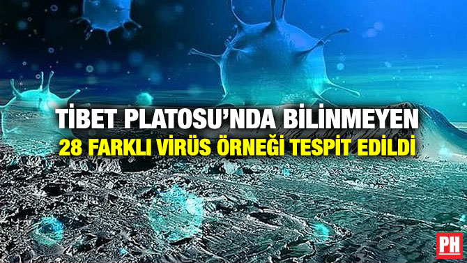 Tibet Platosu’nda Bilinmeyen 28 Farklı Virüs Örneği Tespit Edildi