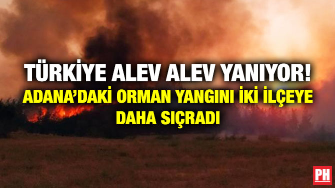 Türkiye Alev Alev Yanıyor! Adana’daki Orman Yangını İki İlçeye Daha Sıçradı