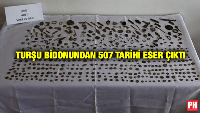 Turşu Bidonundan 507 Tarihi Eser Çıktı