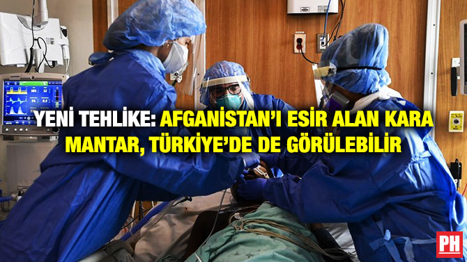 Yeni Tehlike: Afganistan’ı Esir Alan Kara Mantar, Türkiye’de de Görülebilir