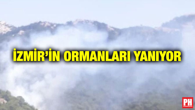 İzmir’in Ormanları Yanıyor