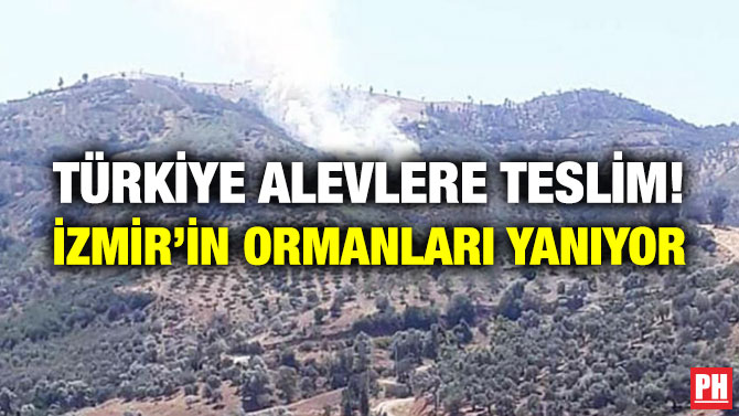 Türkiye Alevlere Teslim! İzmir’in Ormanları Yanıyor