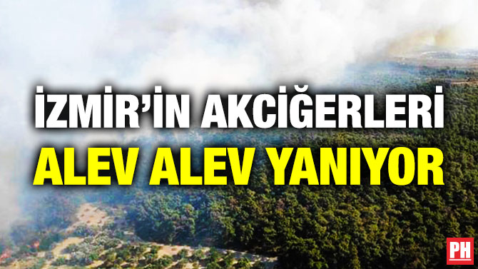 İzmir’in Akciğerleri Alev Alev Yanıyor