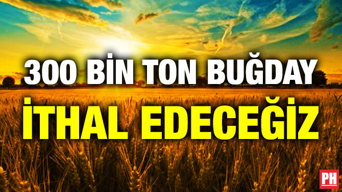 300 Bin Ton Buğday İthal Edeceğiz