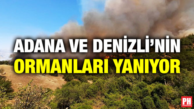 Adana ve Denizli’nin Ormanları Yanıyor