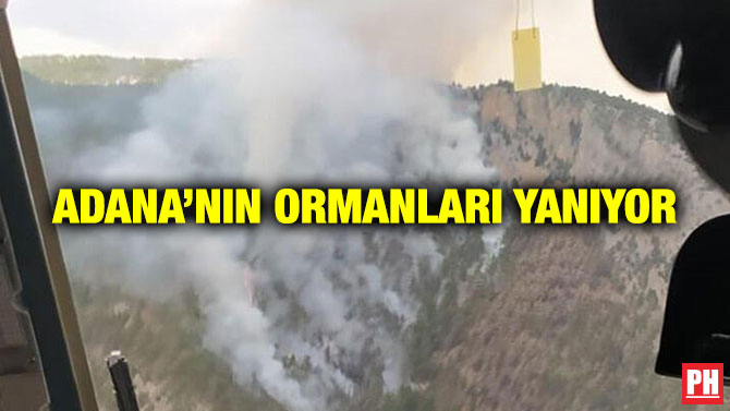 Adana’nın Ormanları Yanıyor