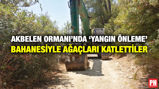 Akbelen Ormanı’nda ‘Yangın Önleme’ Bahanesiyle Ağaçları Katlettiler