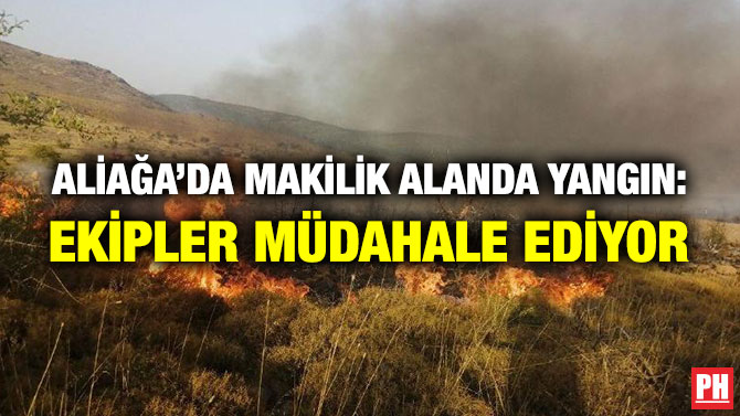 Aliağa’da Makilik Alanda Yangın: Ekipler Müdahale Ediyor