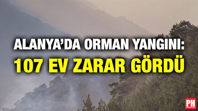Alanya’da Orman Yangını: 107 Ev Zarar Gördü