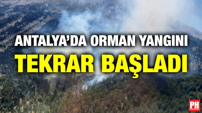Antalya’da Orman Yangını Tekrar Başladı