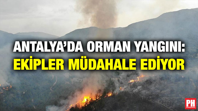 Antalya’da Orman Yangını: Ekipler Müdahale Ediyor