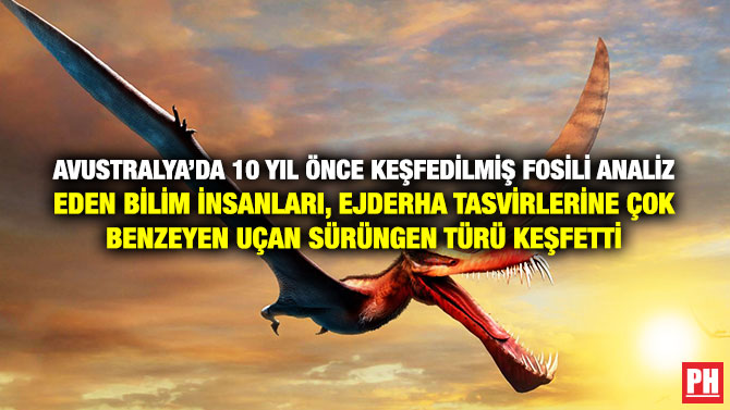 Avustralya’da 10 Yıl Önce Keşfedilmiş Fosili Analiz Eden Bilim İnsanları, Ejderha Tasvirlerine Çok Benzeyen Uçan Sürüngen Türü Keşfetti