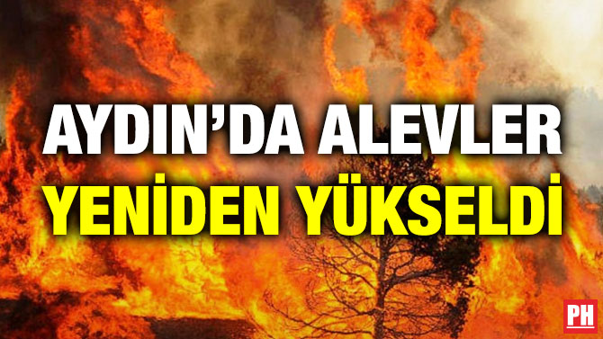 Aydın’da Alevler Yeniden Yükseldi