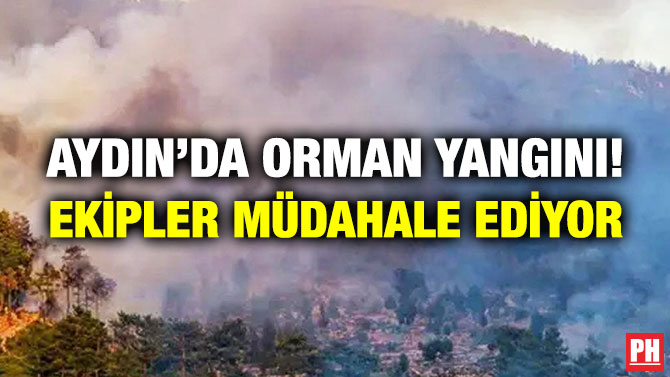 Aydın’da Orman Yangını! Ekipler Müdahale Ediyor
