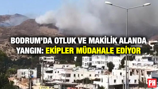 Bodrum’da Otluk ve Makilik Alanda Yangın: Ekipler Müdahale Ediyor