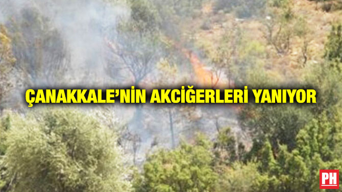 Çanakkale’nin Akciğerleri Yanıyor
