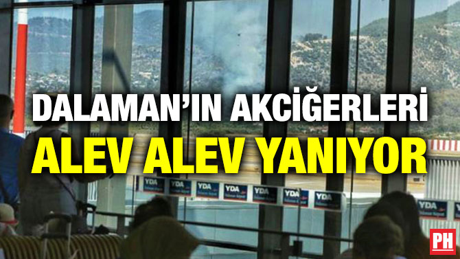 Dalaman’ın Akciğerleri Alev Alev Yanıyor