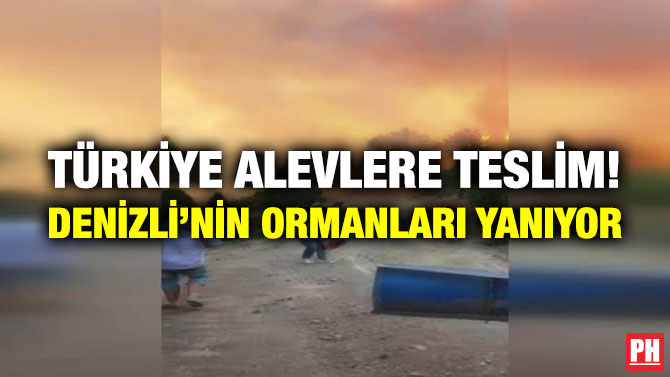Türkiye Alevlere Teslim! Denizli’nin Ormanları Yanıyor
