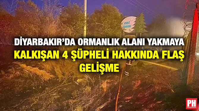 Diyarbakır’da Ormanlık Alanı Yakmaya Kalkışan 4 Şüpheli Hakkında Flaş Gelişme