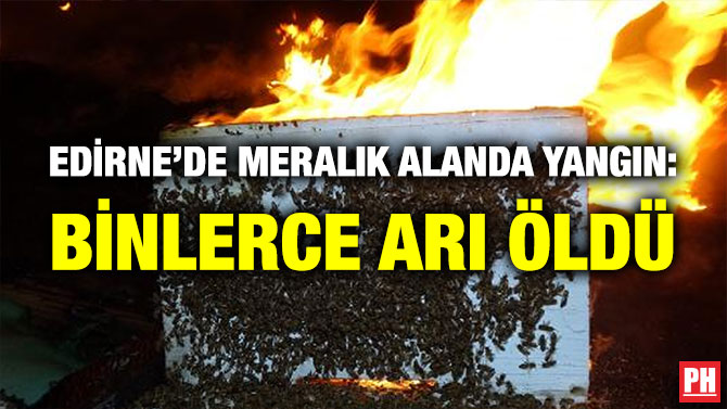 Edirne’de Meralık Alanda Yangın: Binlerce Arı Öldü